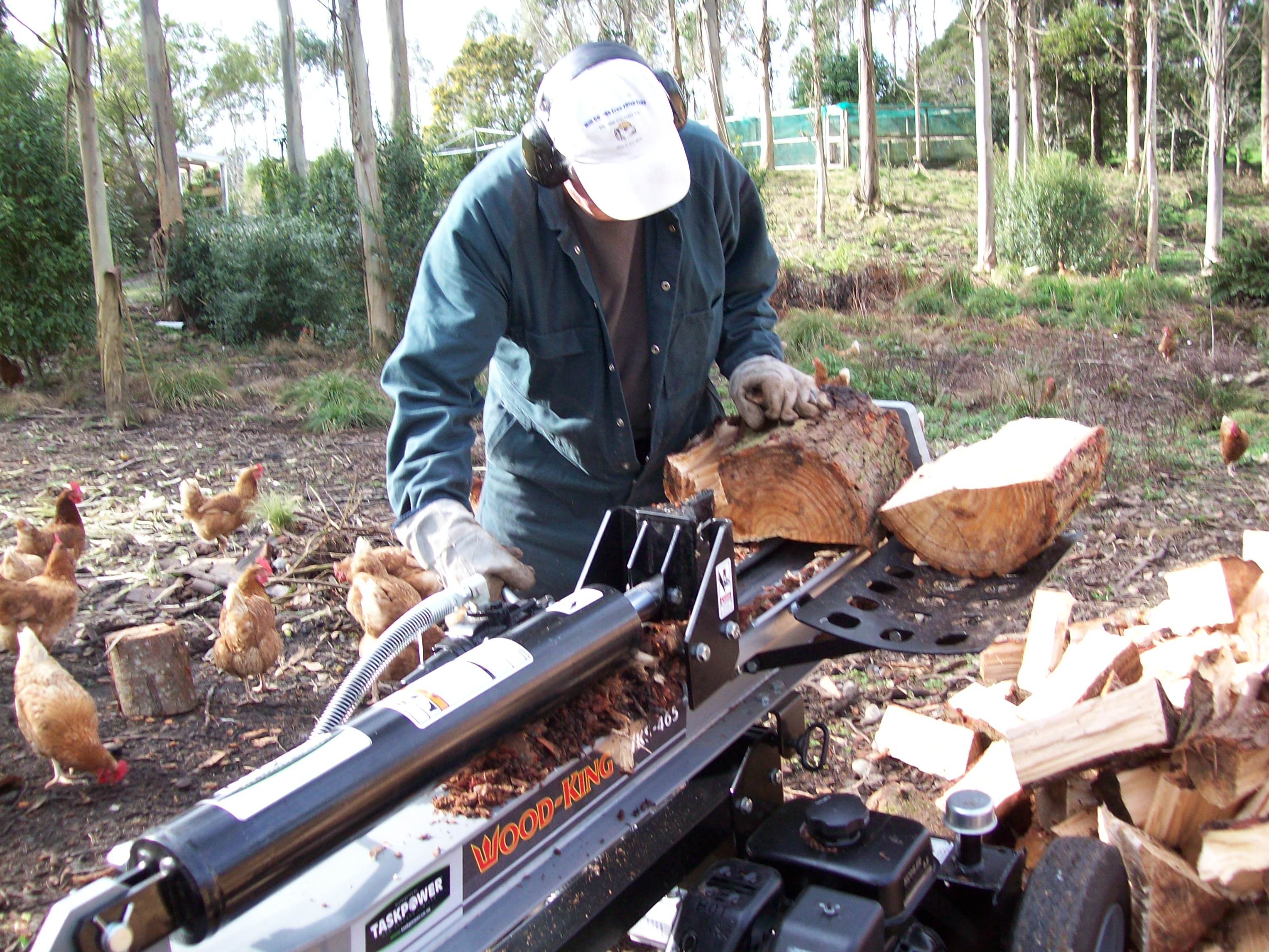 Petrol Log Splitters