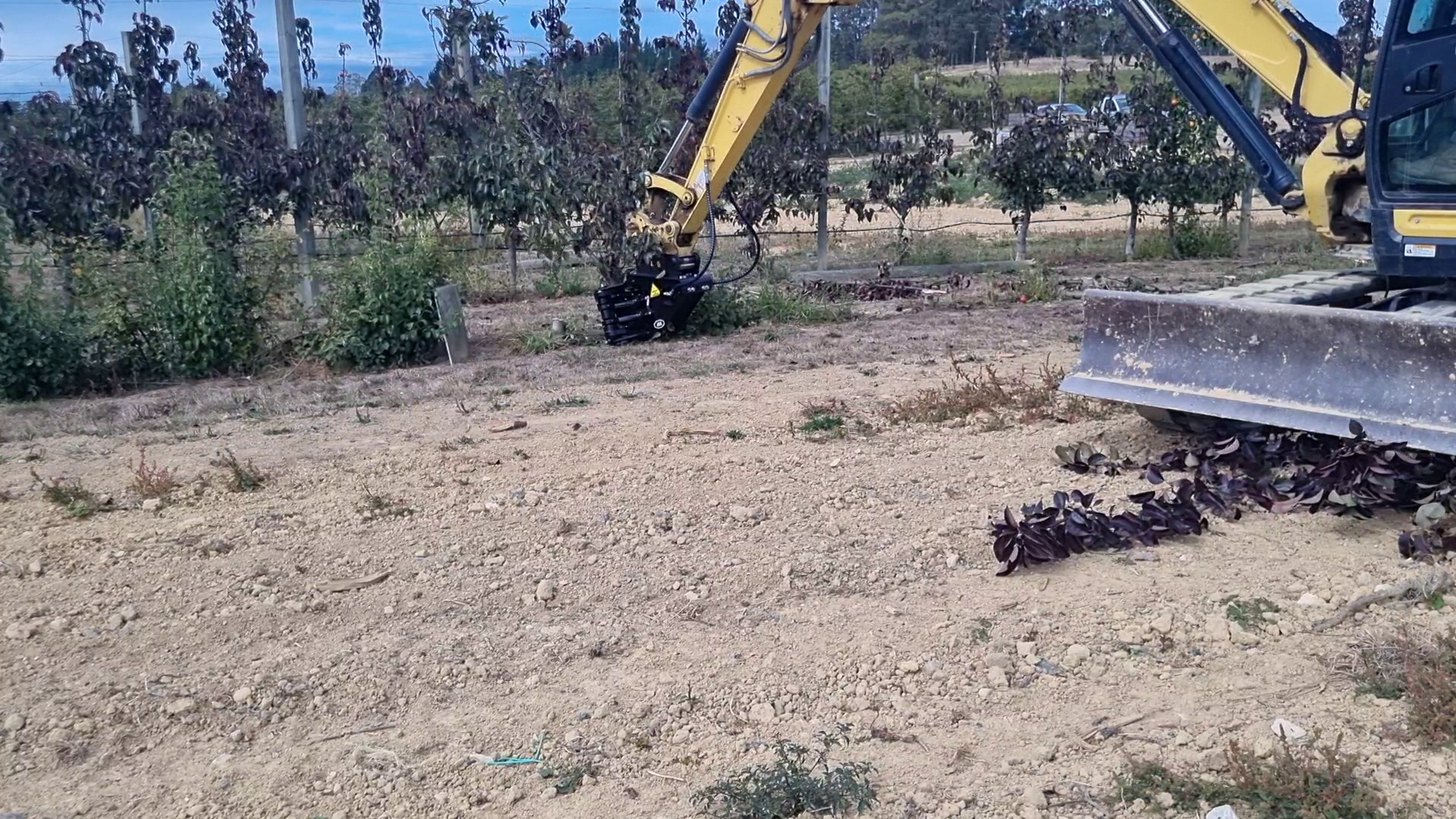 JAK-250B Orchard Removal